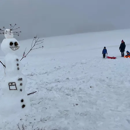 公寓 Klea - 10 Min To Chopok Jasna, Tale, Myto *