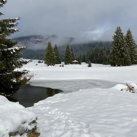公寓 Klea - 10 Min To Chopok Jasna, Tale, Myto Mýto pod Ďumbierom