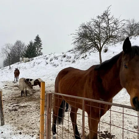 Klea - 10 Min To Chopok Jasna, Tale, Myto