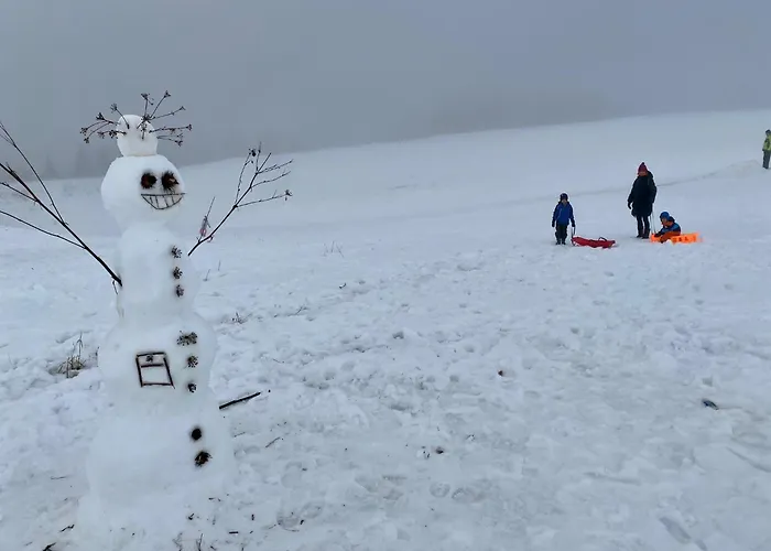 Apartment Klea - 10 Min To Chopok Jasna, Tale, Myto *