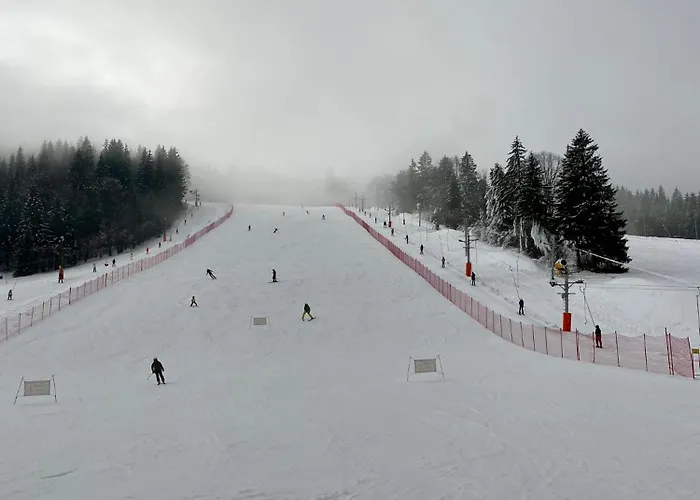 Apartment Klea - 10 Min To Chopok Jasna, Tale, Myto