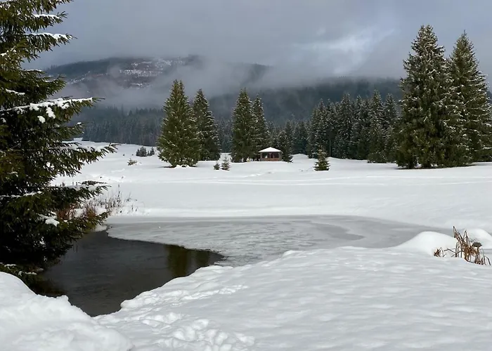 Apartment Klea - 10 Min To Chopok Jasna, Tale, Myto Mýto pod Ďumbierom